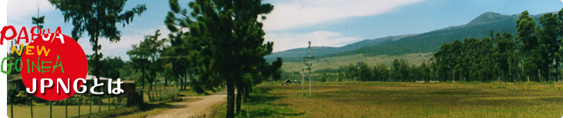 JPNGとは